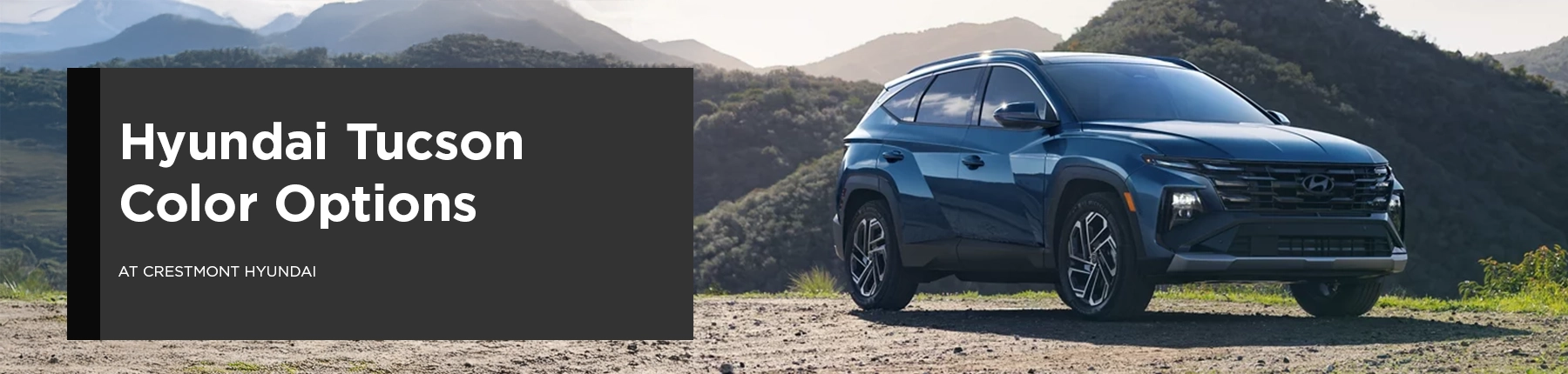 2025 Hyundai Tucson Exterior Colors Guide - Crestmont Hyundai