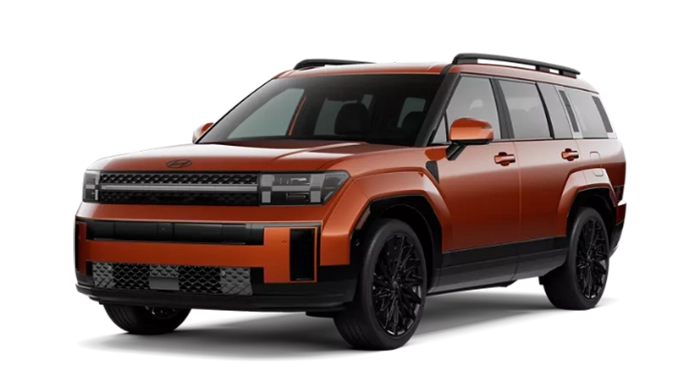 Hyundai Santa Fe Calligraphy Terracotta Orange