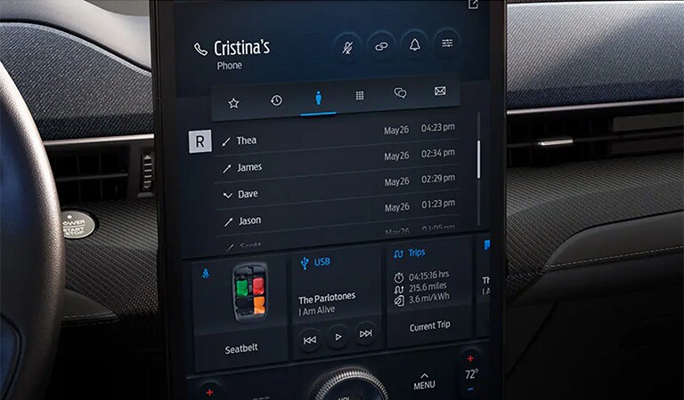 2021 Ford Mustang Mach-E Crestview FL