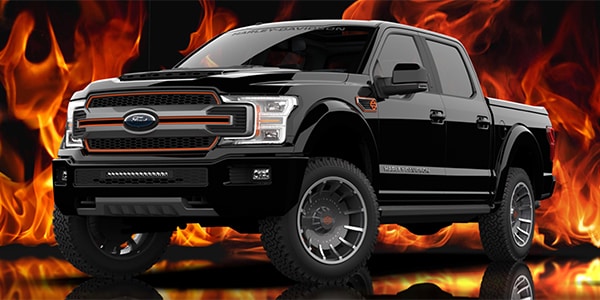 Harley Davidson F-150 Crestview FL