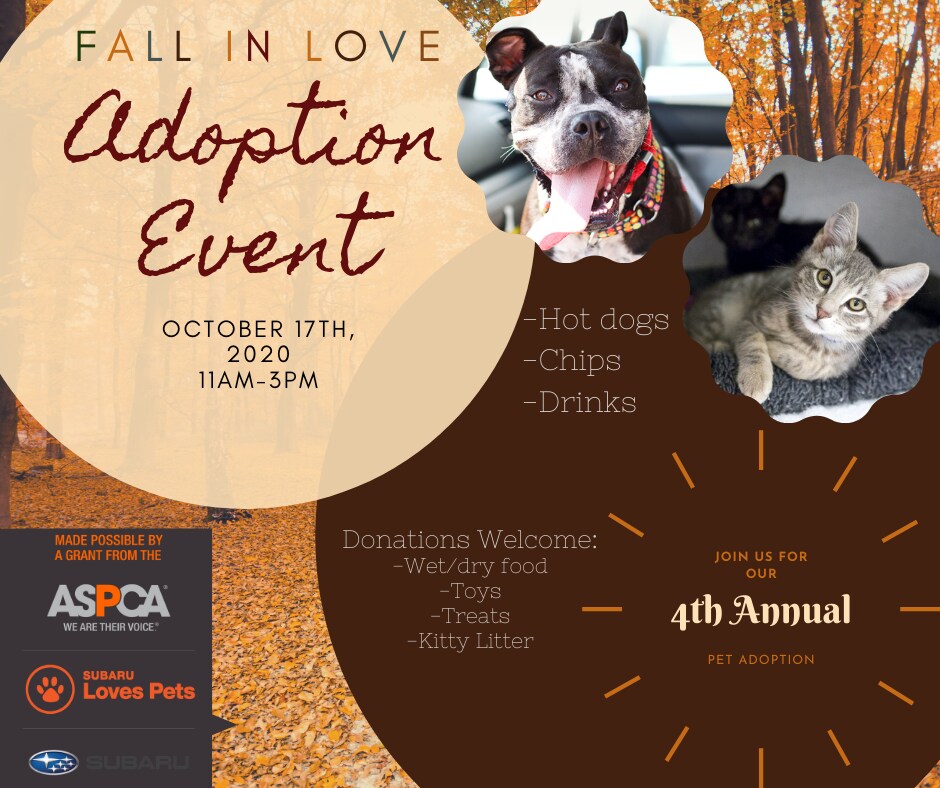 Pet adoption Fall.png