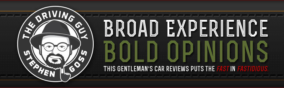 TheDrivingGuy_logo909x284.jpg