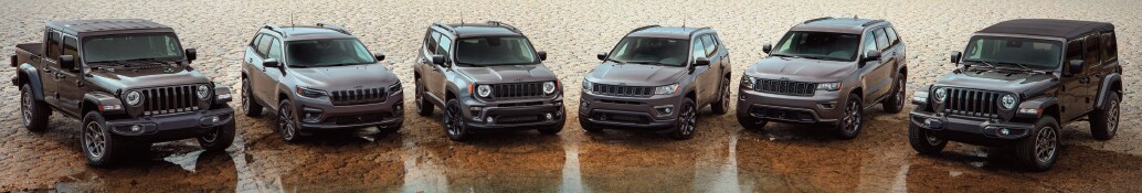 FCA-VSR-BANNER1.jpg