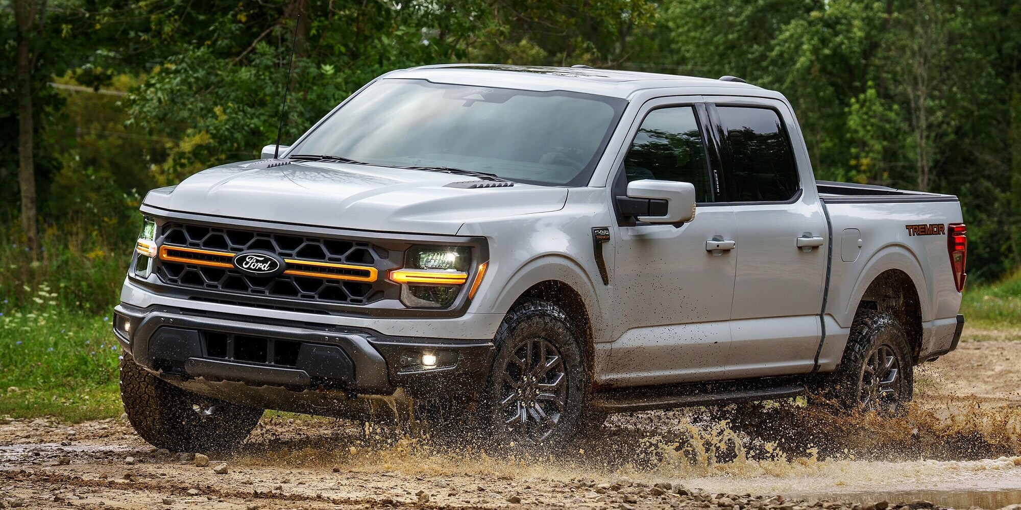 What to Look for When Buying a Ford F-150 Truck What to Look for When Buying a Ford F-150 Truck