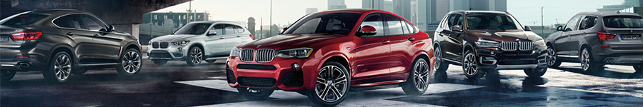 2016 BMW X Models 2016 BMW X Models