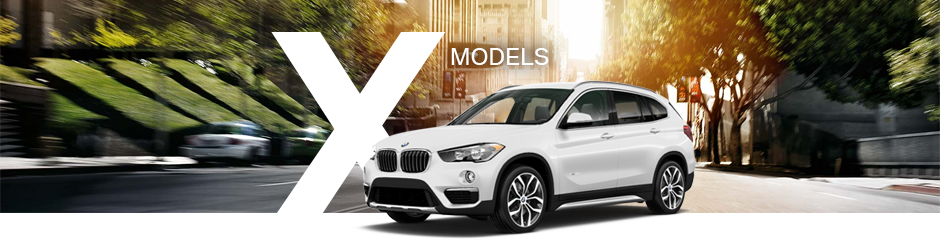 BMW X Series BMW X Series