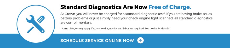 Free Diagnostic