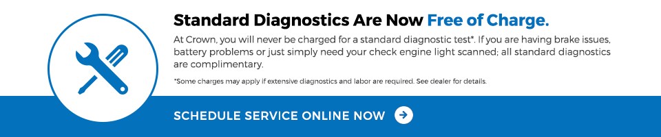 Free Diagnostic
