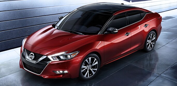 MaximaFront.jpg New Maxima Front