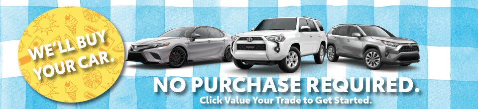 Skinny BannerBuyyourcar.png