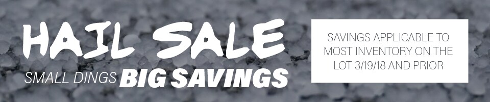 Hail Sale Banner.png