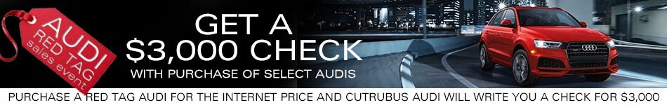 CutrubusAudiHeader2.jpg