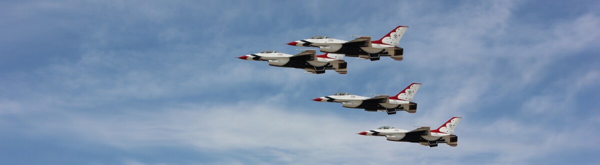 thunderbirds-airplanes-731429 (1).jpg Thunderbirds flying overhead