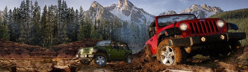 2009_wrangler