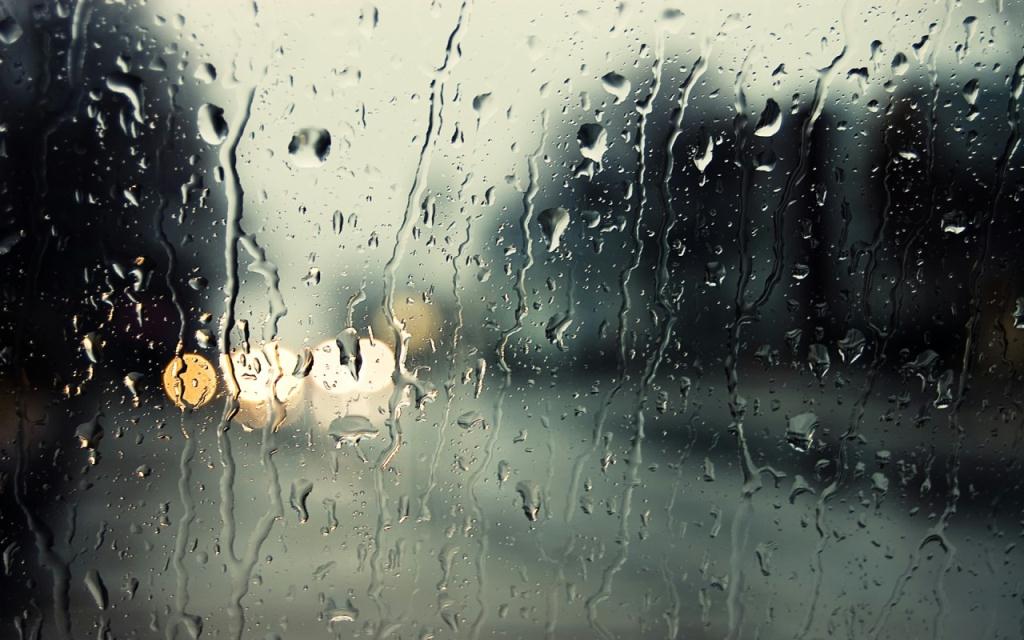 My windshield wipers stopped working winshields are not working on vehicle