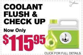 Coolant Flush & Check Up