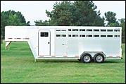 photo_horse_livestock