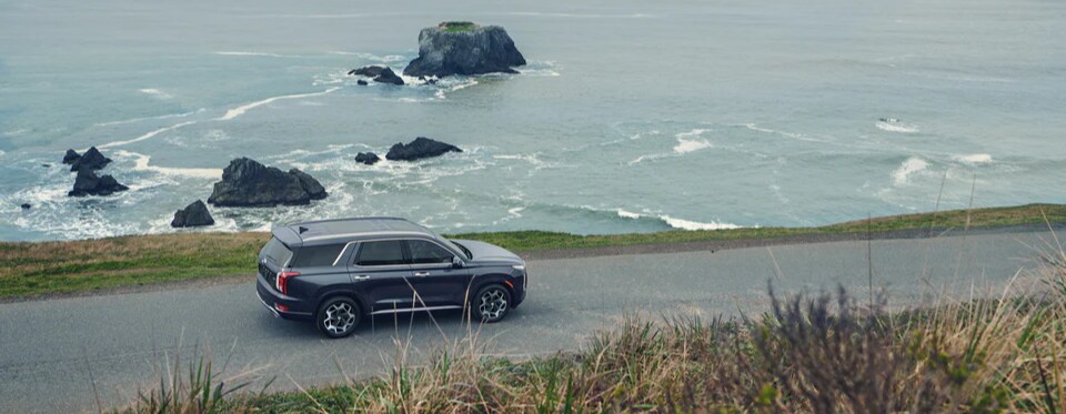 2021 Hyundai Palisade Calligraphy SUV Dahl Hyundai can find drivers in La Crosse just what they're looking for. Let us play Match-Maker and find you the best car, truck or SUV for your needs.
