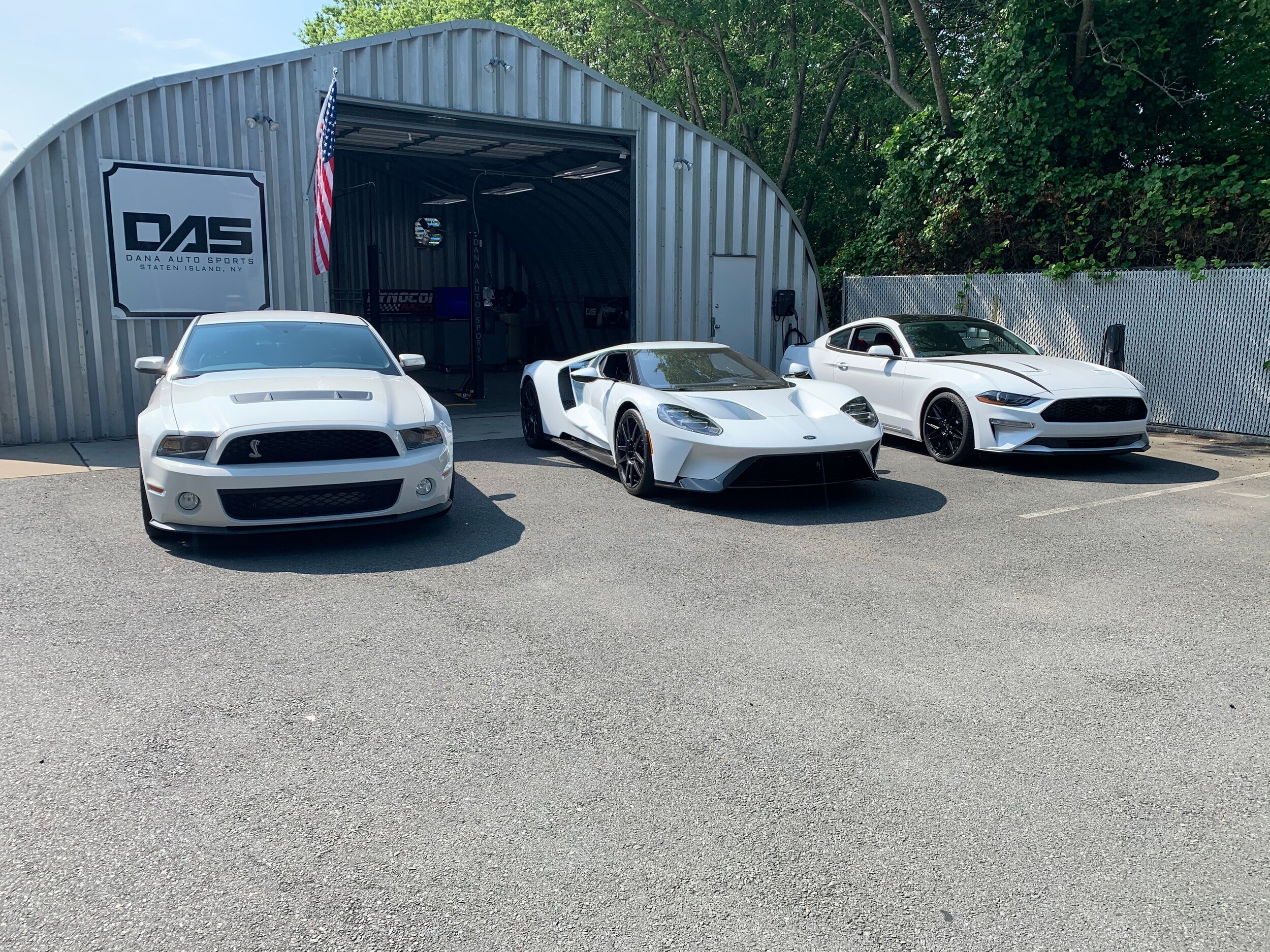das_white_mustang_x3.jpg
