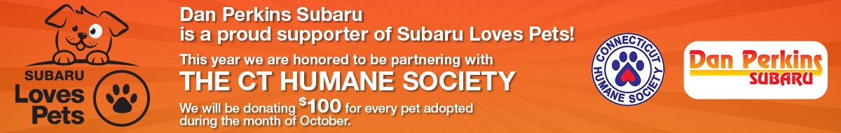 2020-10-danperkinssubarusne-09461127-Dan-Loves-Pets-SL.jpg