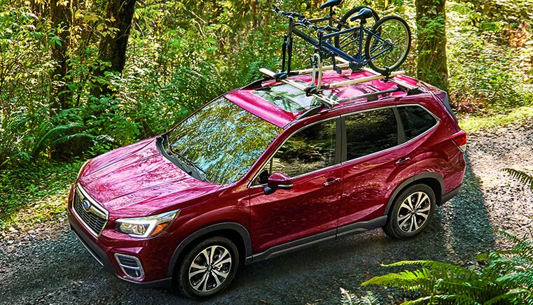 New Subaru Forester SUVs Dan Perkins Subaru