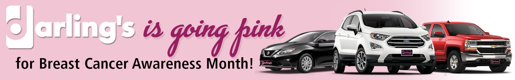 Pink Plate 2019 CDK banner.jpg