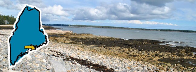 header_seawall.jpg
