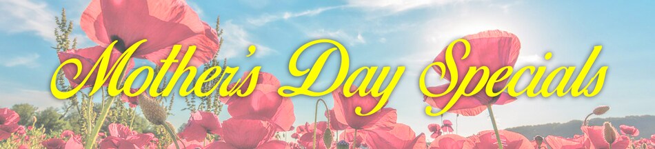 Mother's-Day-Service-Specials-Landing-Page-Header.jpg