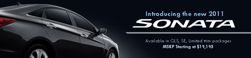 Sonata-Header-3.jpg