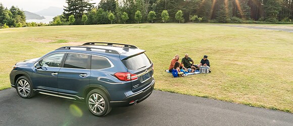 Family has a Picnic on the Grass next to Blue Subaru SUV