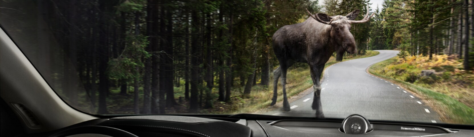 volvo-moose.png