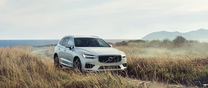 2019 XC60