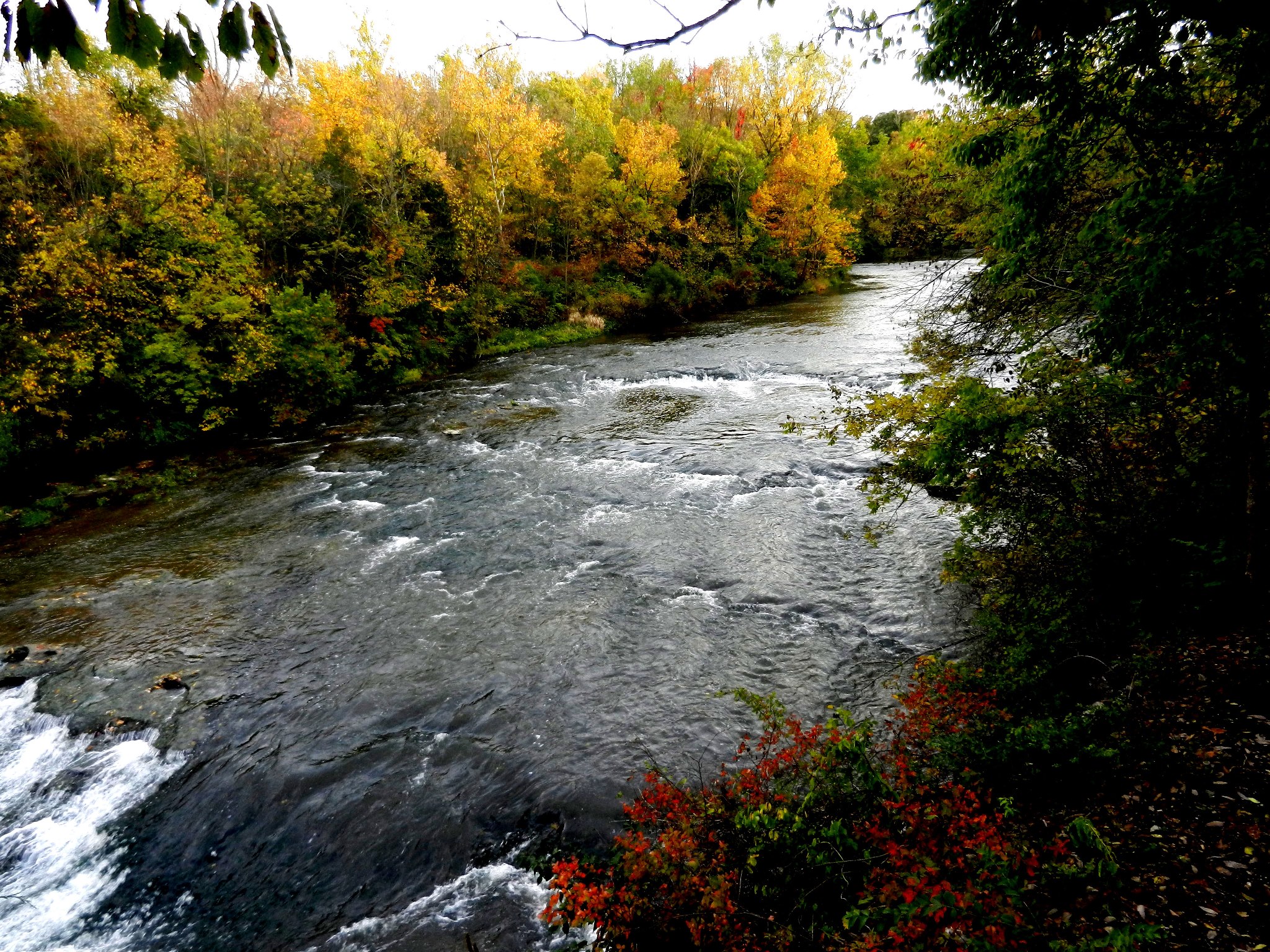 286443_410183929048722_1545746788_o.jpg