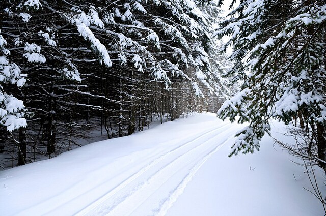 Winter Weather Driving Tips - Dave Dennis CJDR