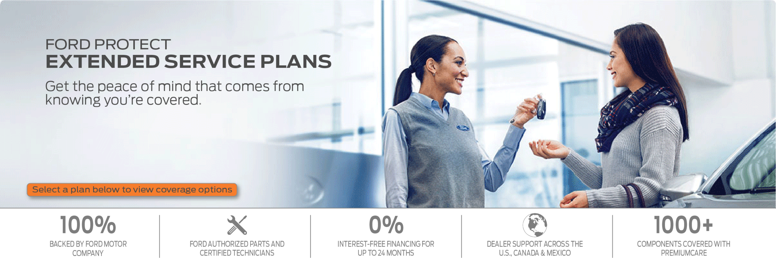 Extended Service page Header-01.png