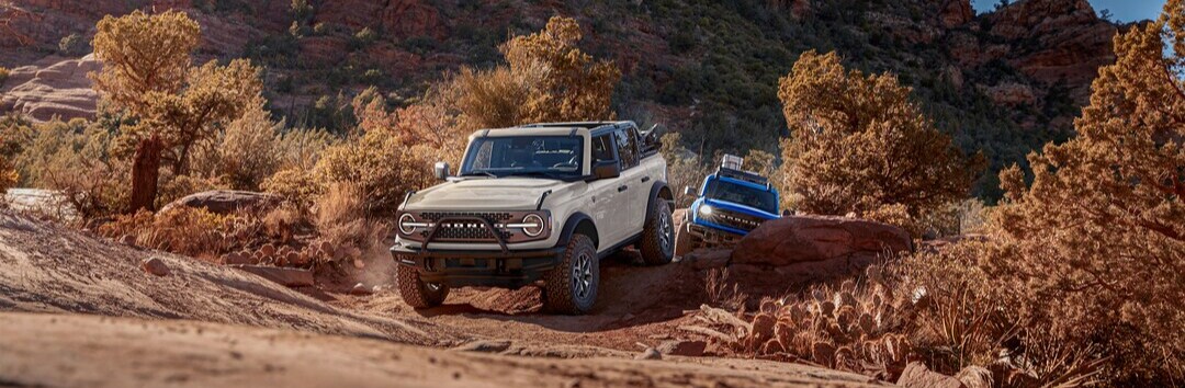 Ford Trucks