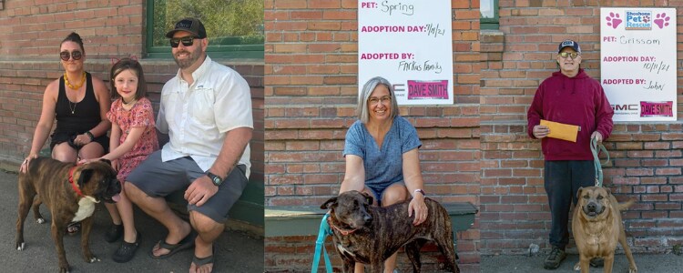 Pet Adoption Program _ SPR
