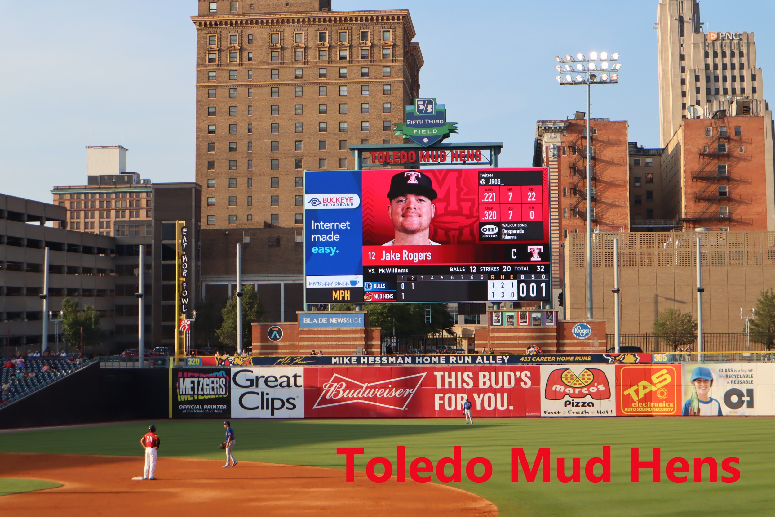 mudhens.jpg