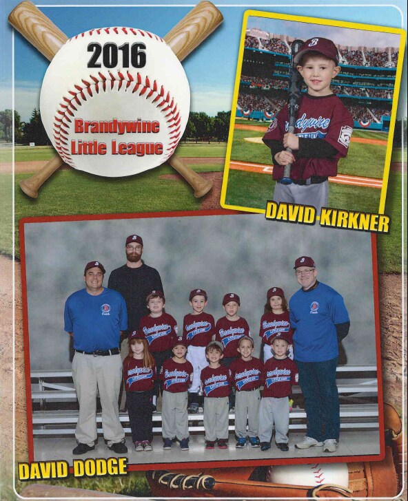 david dodge little league.png
