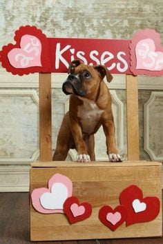 Kissing booth.jpg