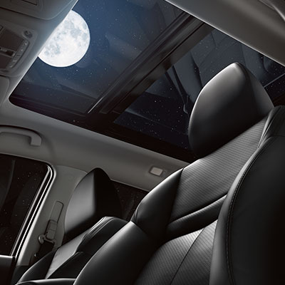 Rogue_interior1