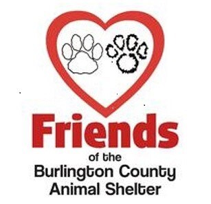 Davis Honda - Burlington County Friends of animal shelter logo (002).jpg