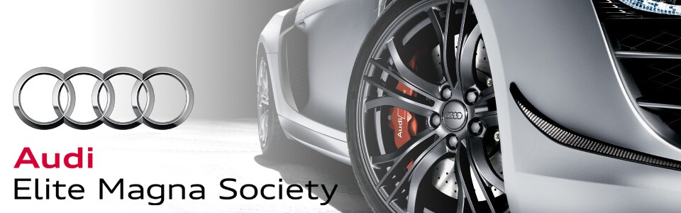 ELITE page header.png