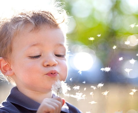child blowing dandelion
