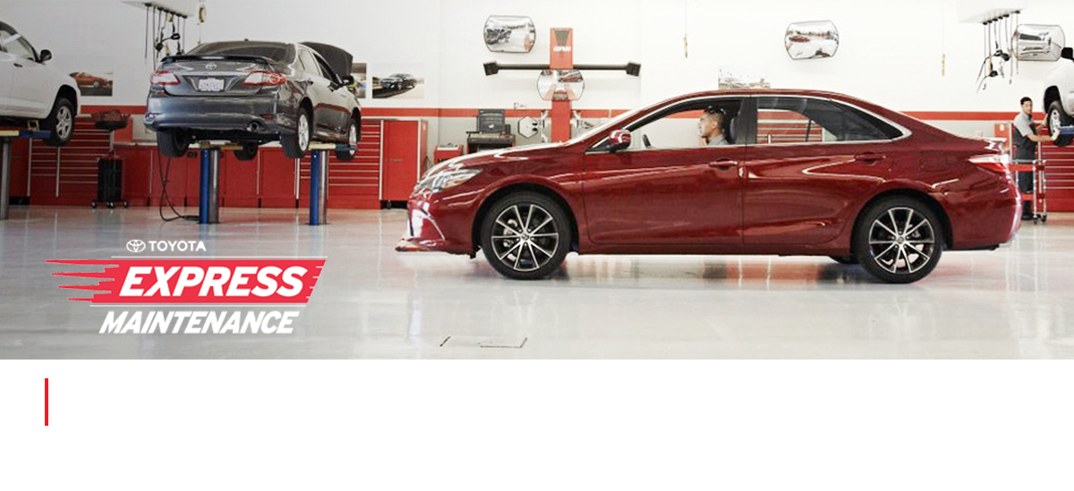 Toyota Express Maintenance. Right Price. Right Quality. Right Now. Toyota Express Maintenance. Right Price. Right Quality. Right Now.