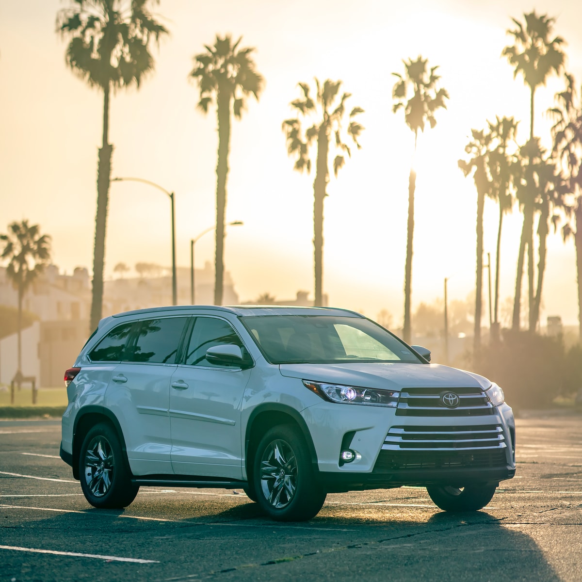 2021-Toyota-Highlander-Limited-SUV-L03.png white Toyota Highlander SUV parked in a lot with palm trees in the background
