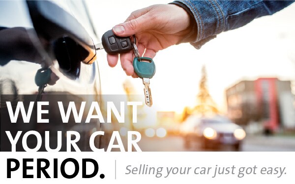 We Want Your Car