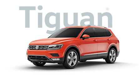 Tiguan_Jelly_T3LP.png