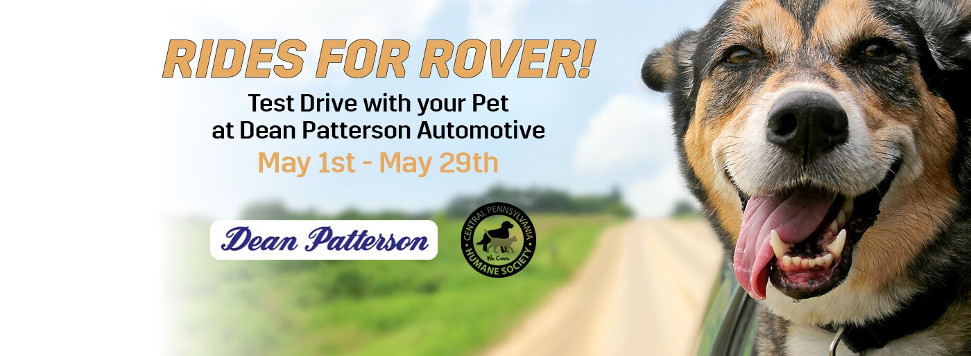 2021-04-deanpattersongroup-10236982-Rides-for-Rover-BN.jpg