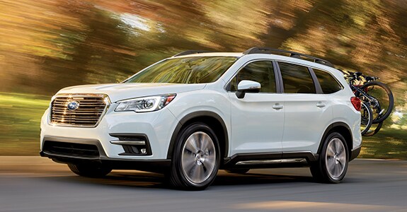2021 Ascent